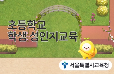 초등학교 학생 성인지교육